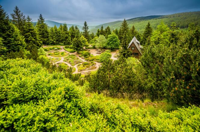 Rennsteiggarten - Oberhof