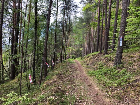 An der Sandgrube bei Weißenbrunn