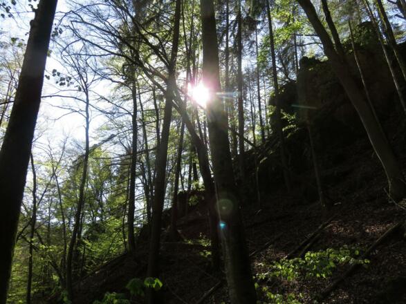 von der Pulvermühle über die weiße Marter nach Doos