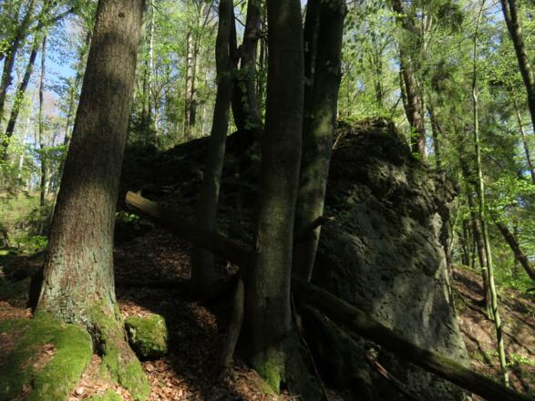 von der Pulvermühle über die weiße Marter nach Doos