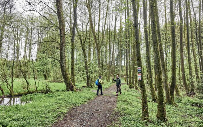 Beim Zechteich in Marienweiher