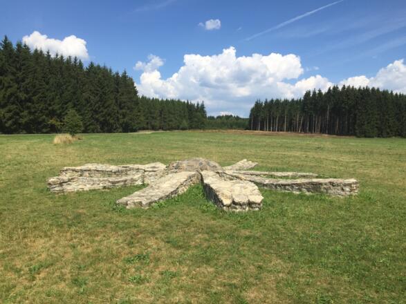 Die Steinerne Arnika in der Teuschnitz-Aue