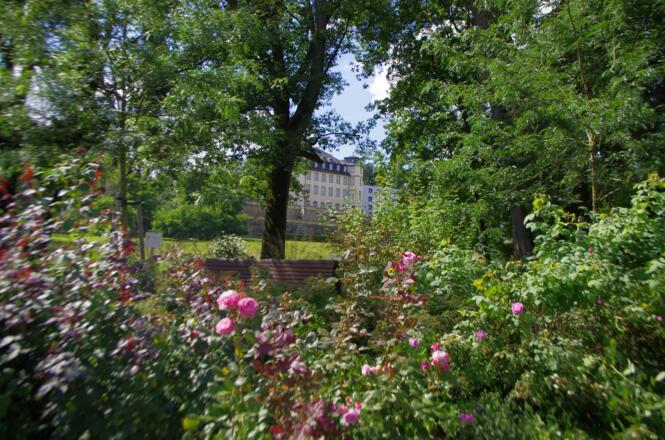 Schloss Untermerzbach