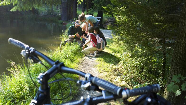 Natur erleben am Grünen Band