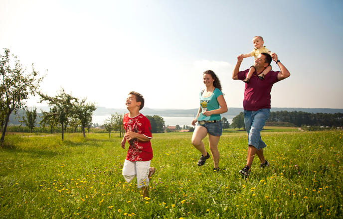 In Enderndorf am Brombachsee tobt eine Familie auf eine grün wachsenden Wiese. Im Hintergrund kann man einen Blick auf den Brombachsee erhaschen.