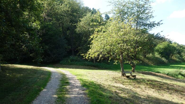 Impressionen im Molsbachtal