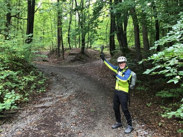 Schleifenroute - bei Oerlenbach durch den Wald den Berg hinauf