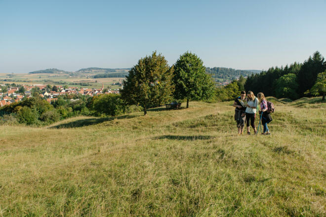 Wandern um Thalmässing