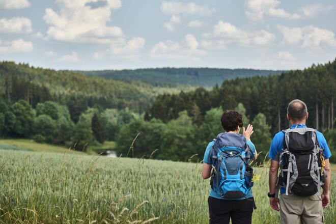Blick über den Frankenwald bei Hermes