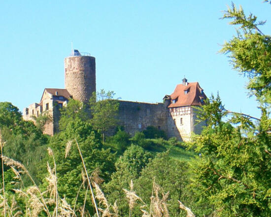 Blick auf die Burg Thann
