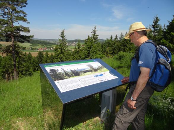 Panoramablick von der Reuther Platte