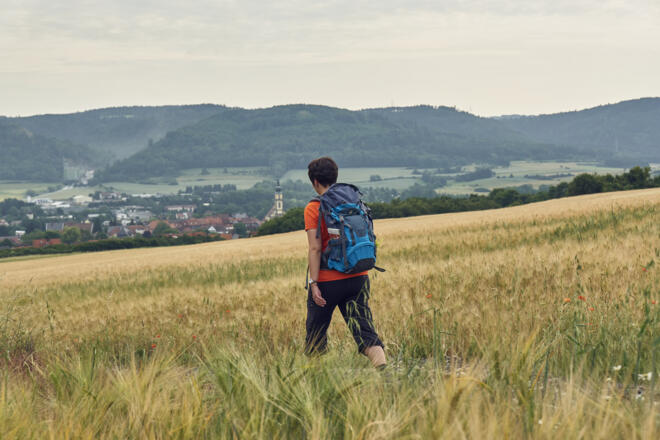 Blick vom Bergfeld auf Stadtsteinach