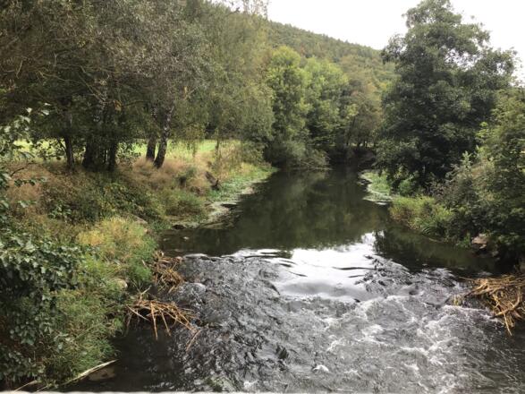 Schleifenroute - die Saale