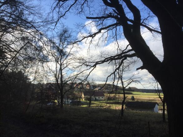 Vom Wald nach Adlitz