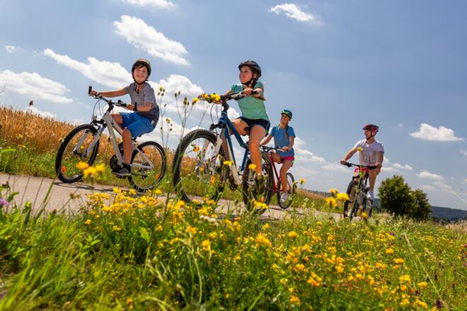 Radeln um den Abenberger Wald