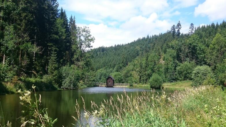 Floßteich an der Bischofsmühle