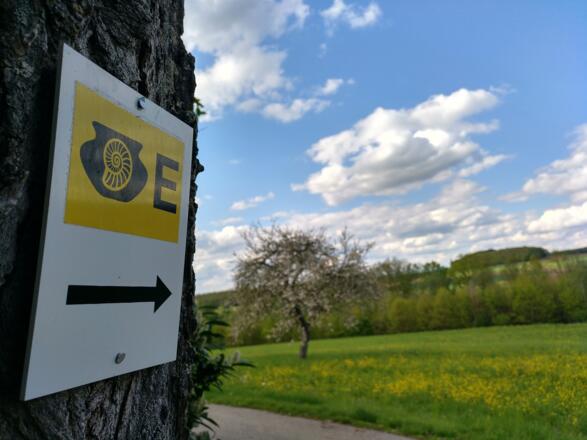 Wandern auf dem Keltenweg E