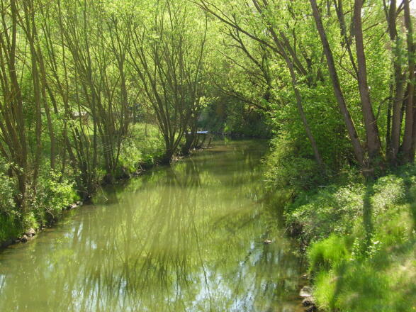 Die Schwäbische Rezat