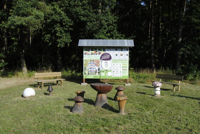 Ein Pilznest im Heidenberg