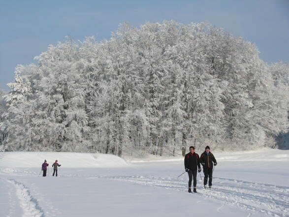 Skilanglauf im Nürnberger Land