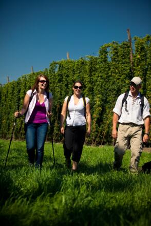 Wandern im Spalter Hügelland