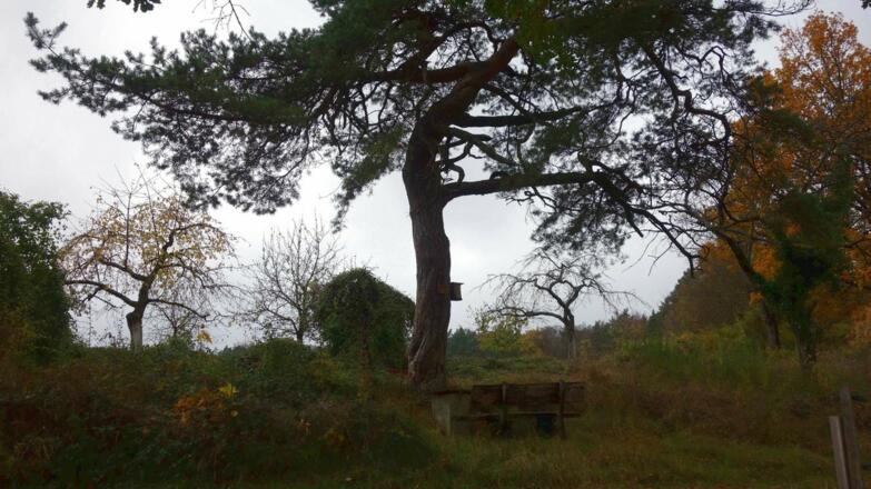 Impressionen auf der Wanderung