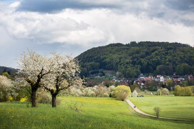 Vom Stausee nach Förrenbach