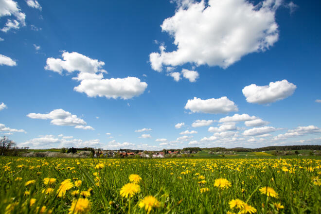 Auf der Albhöhe bei Schupf