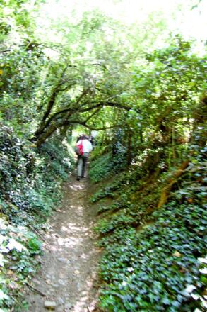 Wanderung dem Main entlang