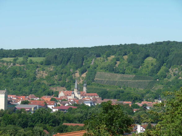 Blick vom Karlsberg auf Weikersheim