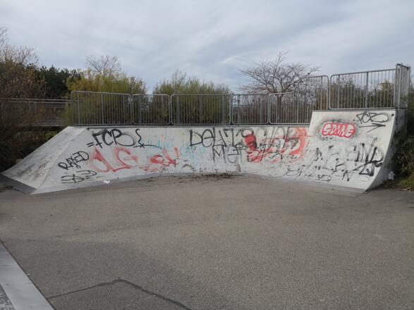 Quarter Pool + zweites Level Coping Ramp + Plattform