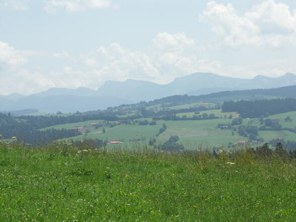 Blick auf die Nagelfluhkette.