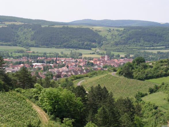 Hammelburg