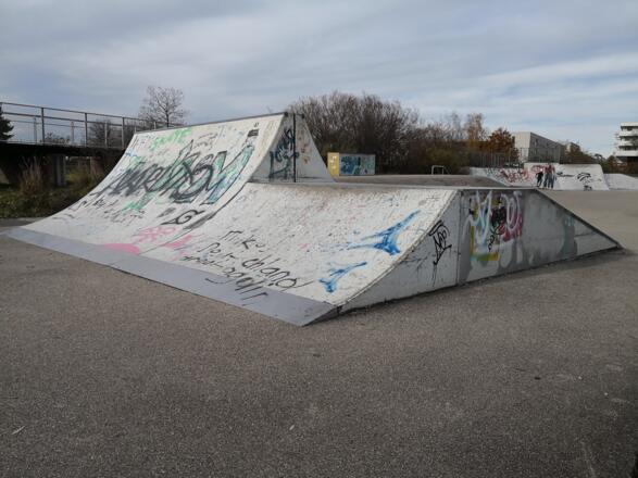 Spine Ramp + doppelseitige Coping Ramp