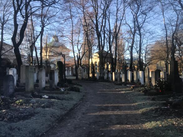 Weg auf dem Ostfriedhof mit Blick auf die Trauerhalle