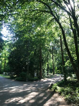 Waldfriedhof München