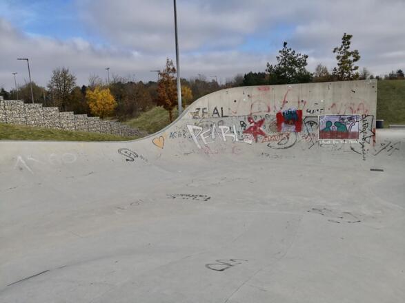 Vert Extension / Wallride