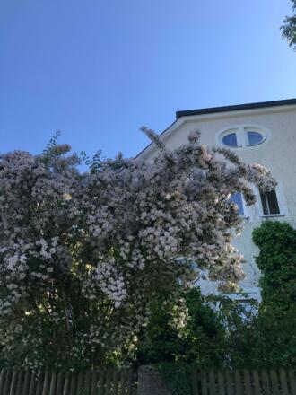 Alte hadernder Villenkolonie