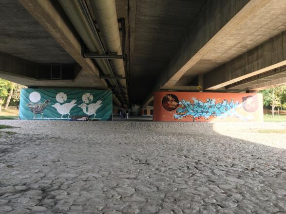 Graffiti an den Pfeilern der Brudermühlbrücke, Okt 2019