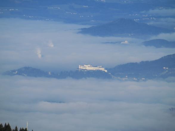 Nur die Feste Hohensalzburg und Maria Plain ragen aus dem Nebel