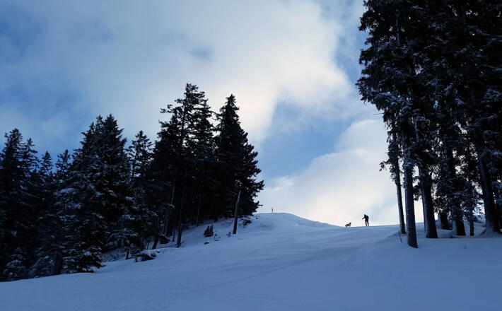 Skitourengeher mit Hund