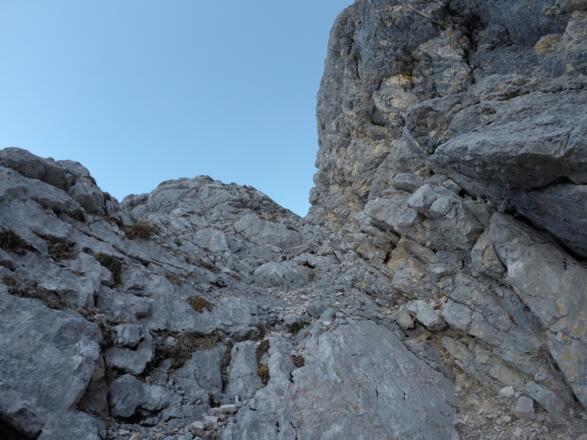 die Zellerführe befindet sich oft ein einer Verschneidung