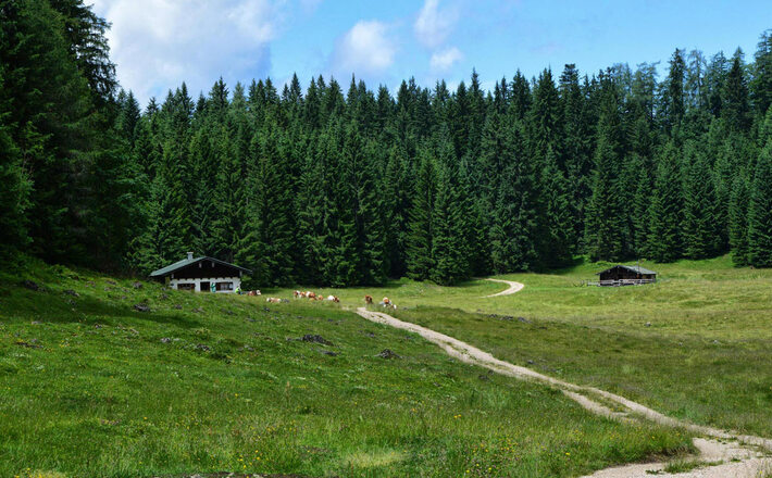 Kaser auf der Anthauptenalm