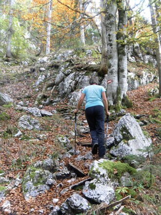 schrofig-wurzeliger Wachterlsteig