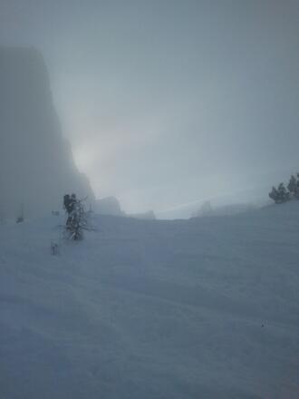 Der Wald wird lichter und das Watzmannkar öffnet sich