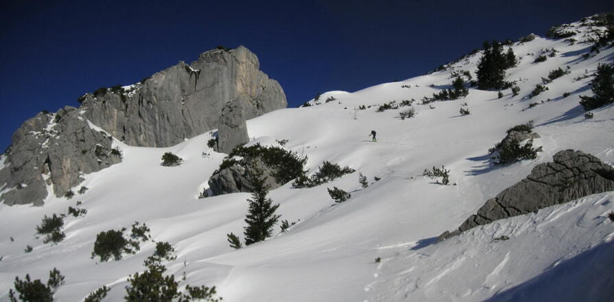 am Rücken vor der Mooswand