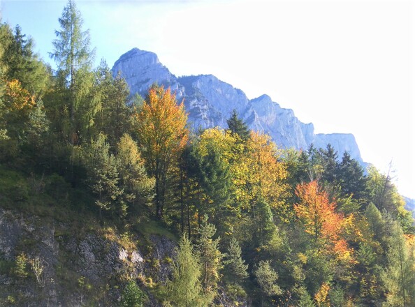 Alphorn von Unterjettenberg