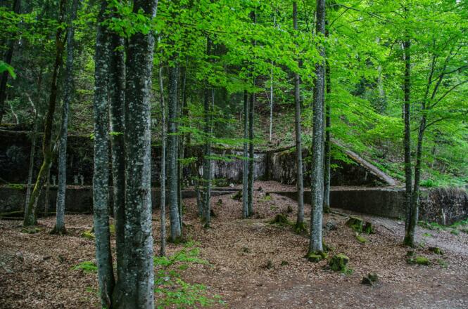 Stützmauern des Berghofs