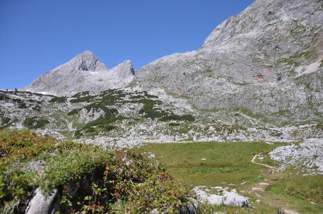 Vom Joch im Hundstodgatterl oben links führt der Steig unter den Felsen gemütlich hinunter Richtung Tagesziel