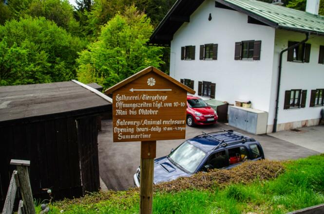 Falknerei-Öffnungszeiten